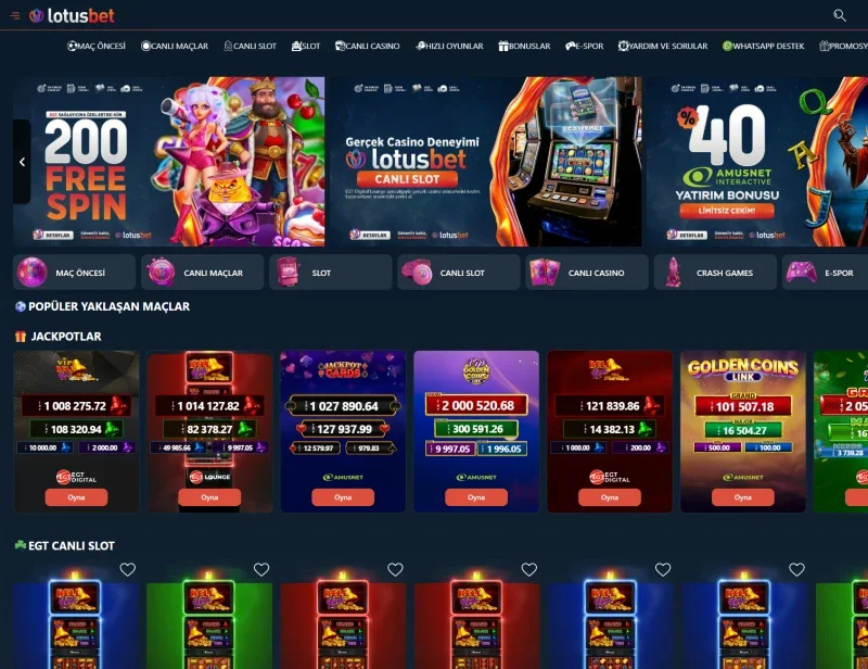 Lotusbet ekran görüntüsü